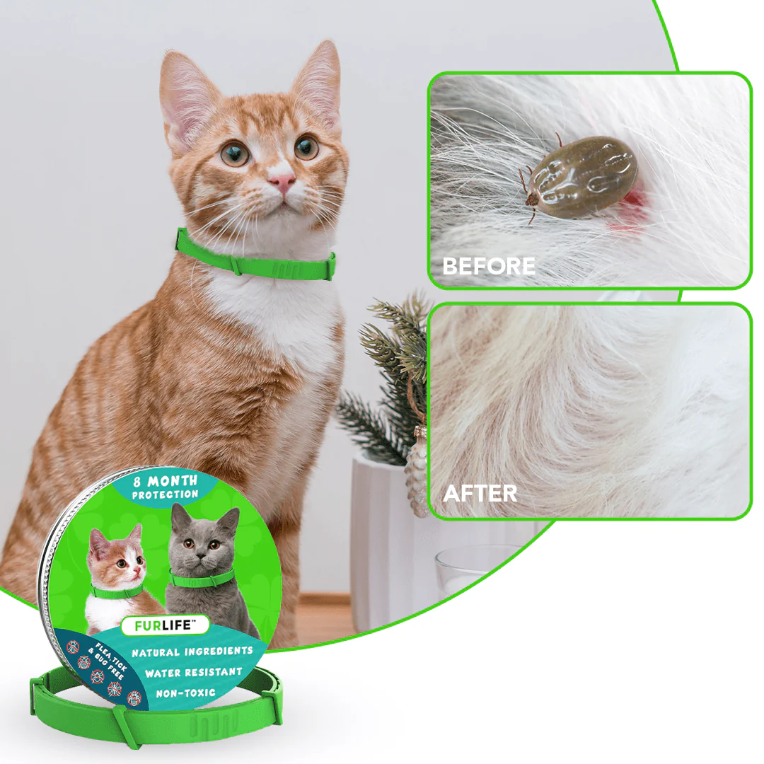 Tick And Flea Prevention For Dogs