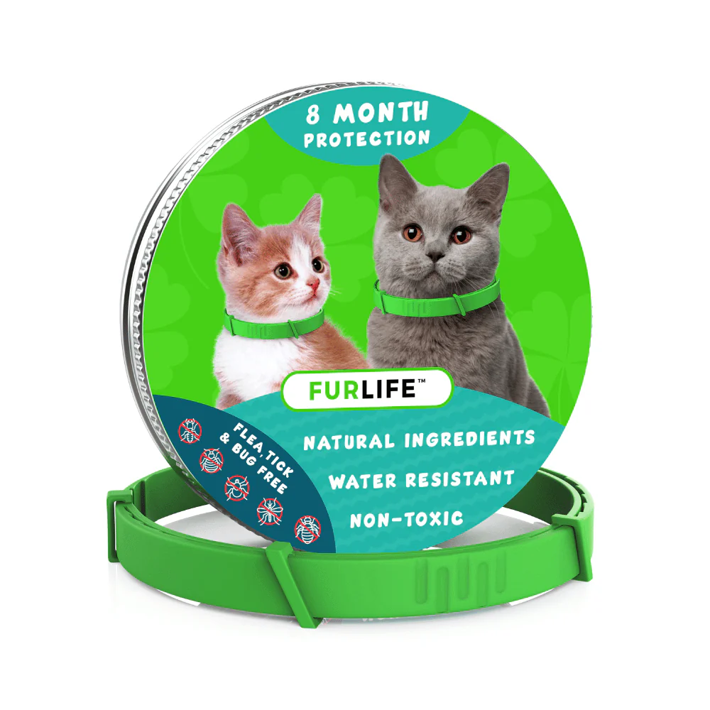Natural Flea Tick Control Dogs