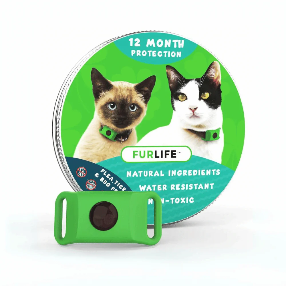 Natural Flea And Tick Protection For Dogs